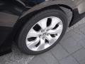 2008 Accord EX-L Sedan #7