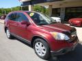 2007 CR-V EX-L 4WD #3