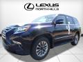 2017 GX 460 Luxury #4 2017 GX 460 Luxury #4