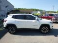 2017 Compass Limited 4x4 #6