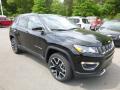 2017 Compass Limited 4x4 #7