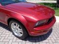 2007 Mustang V6 Premium Convertible #28 2007 Mustang V6 Premium Convertible #28