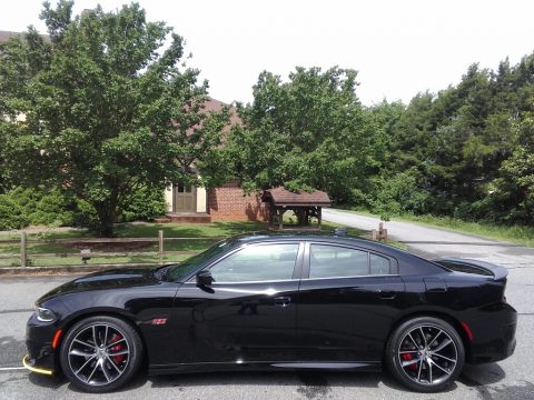 Pitch-Black Dodge Charger R/T Scat Pack. Click to enlarge. Pitch-Black Dodge Charger R/T Scat Pack. Click to enlarge.