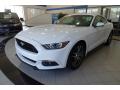 2017 Mustang EcoBoost Premium Coupe #1