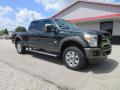 Front 3/4 View of 2016 Ford F250 Super Duty King Ranch Crew Cab 4x4 #7