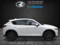 2017 CX-5 Grand Touring AWD #2 2017 CX-5 Grand Touring AWD #2