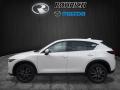 2017 CX-5 Grand Touring AWD #3 2017 CX-5 Grand Touring AWD #3