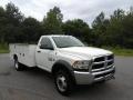 2017 4500 Tradesman Regular Cab 4x4 Utility Truck #5