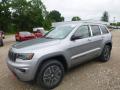 Front 3/4 View of 2017 Jeep Grand Cherokee Trailhawk 4x4 #1