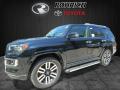 2017 4Runner Limited 4x4 #4 2017 4Runner Limited 4x4 #4