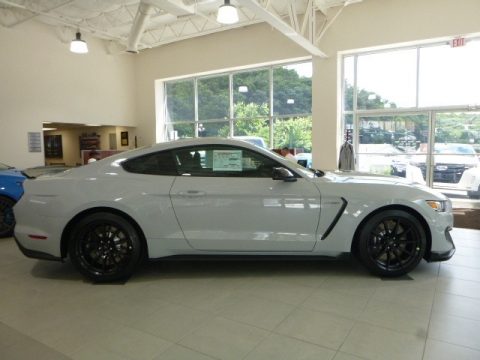 Avalanche Gray Ford Mustang Shelby GT350.  Click to enlarge.