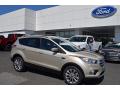 2017 Escape Titanium #1