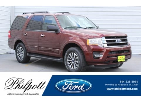 Bronze Fire Ford Expedition XLT.  Click to enlarge.