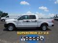 2013 F150 XL SuperCrew #2
