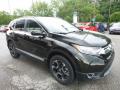 2017 CR-V Touring AWD #5