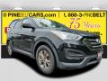 2016 Santa Fe Sport #1 2016 Santa Fe Sport #1
