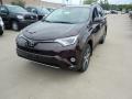 2017 RAV4 XLE #1