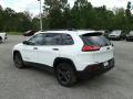 2017 Cherokee Sport Altitude #3