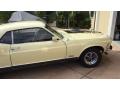 1970 Mustang Mach 1 #3