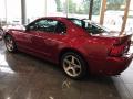 2003 Mustang Cobra Coupe #2