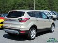 2017 Escape SE #5 2017 Escape SE #5