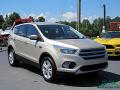 2017 Escape SE #7 2017 Escape SE #7