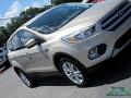 2017 Escape SE #33 2017 Escape SE #33