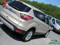 2017 Escape SE #34 2017 Escape SE #34