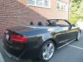 2012 S5 3.0 TFSI quattro Cabriolet #11 2012 S5 3.0 TFSI quattro Cabriolet #11