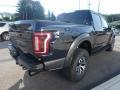 2018 F150 SVT Raptor SuperCrew 4x4 #5 2018 F150 SVT Raptor SuperCrew 4x4 #5