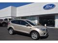 Front 3/4 View of 2017 Ford Escape SE #1