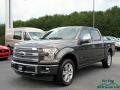2017 F150 Platinum SuperCrew 4x4 #1 2017 F150 Platinum SuperCrew 4x4 #1