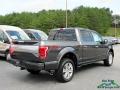 2017 F150 Platinum SuperCrew 4x4 #5 2017 F150 Platinum SuperCrew 4x4 #5