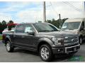 2017 F150 Platinum SuperCrew 4x4 #7 2017 F150 Platinum SuperCrew 4x4 #7