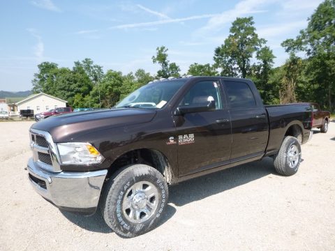 Luxury Brown Pearl Ram 2500 Tradesman Crew Cab 4x4.  Click to enlarge.