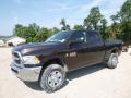 2017 2500 Tradesman Crew Cab 4x4 #1