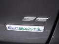 2014 Fusion SE EcoBoost #9
