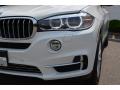 2014 X5 xDrive35i #32