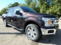 Front 3/4 View of 2018 Ford F150 XLT SuperCrew 4x4 #8