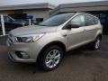 Front 3/4 View of 2018 Ford Escape SE 4WD #7 Front 3/4 View of 2018 Ford Escape SE 4WD #7