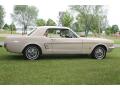 1966 Mustang Coupe #8