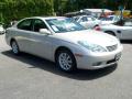 2002 ES 300 #5