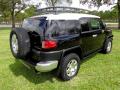 2007 FJ Cruiser 4WD #9