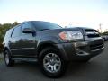 2006 Sequoia SR5 4WD #2 2006 Sequoia SR5 4WD #2