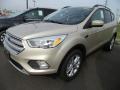 Front 3/4 View of 2018 Ford Escape SE #1