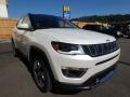 2018 Compass Limited 4x4 #7