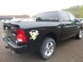 2018 1500 Express Crew Cab 4x4 #5