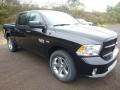 2018 1500 Express Crew Cab 4x4 #7