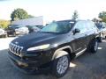 2018 Cherokee Latitude Plus 4x4 #1 2018 Cherokee Latitude Plus 4x4 #1