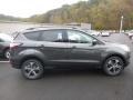  2018 Ford Escape Magnetic #1